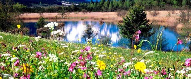  Incredible landscapes 